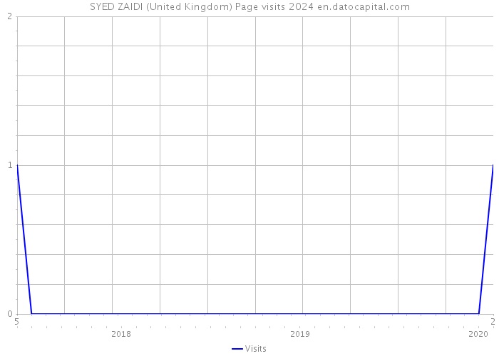 SYED ZAIDI (United Kingdom) Page visits 2024 