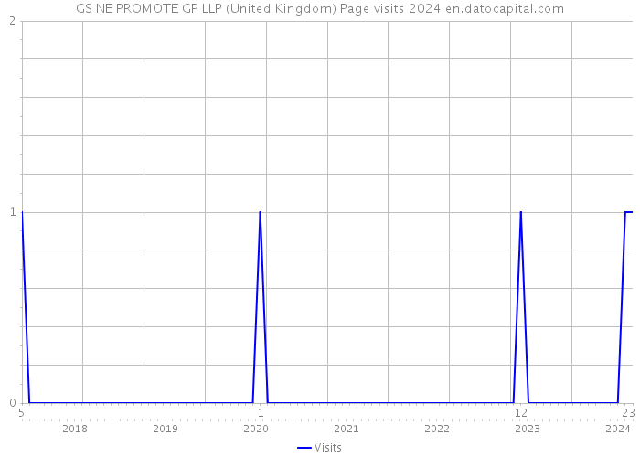 GS NE PROMOTE GP LLP (United Kingdom) Page visits 2024 