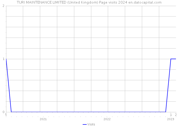 TURI MAINTENANCE LIMITED (United Kingdom) Page visits 2024 