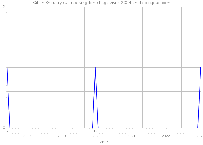 Gillan Shoukry (United Kingdom) Page visits 2024 