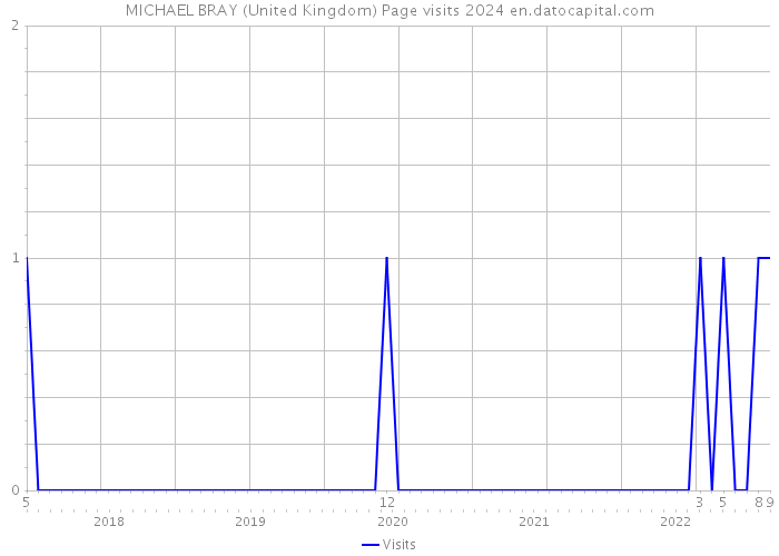 MICHAEL BRAY (United Kingdom) Page visits 2024 