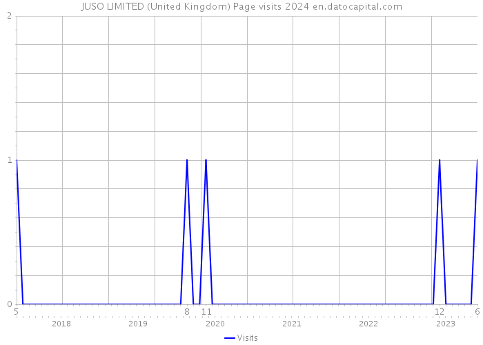 JUSO LIMITED (United Kingdom) Page visits 2024 