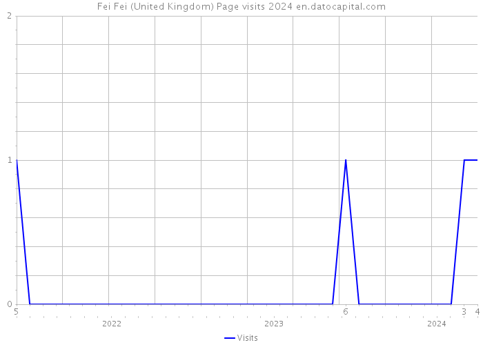 Fei Fei (United Kingdom) Page visits 2024 