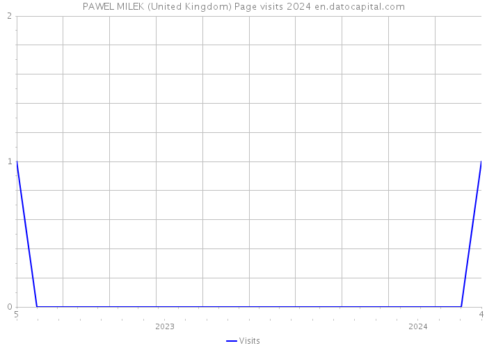 PAWEL MILEK (United Kingdom) Page visits 2024 