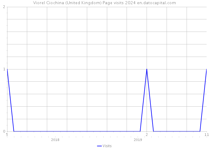 Viorel Ciochina (United Kingdom) Page visits 2024 