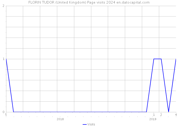 FLORIN TUDOR (United Kingdom) Page visits 2024 