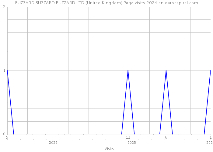 BUZZARD BUZZARD BUZZARD LTD (United Kingdom) Page visits 2024 