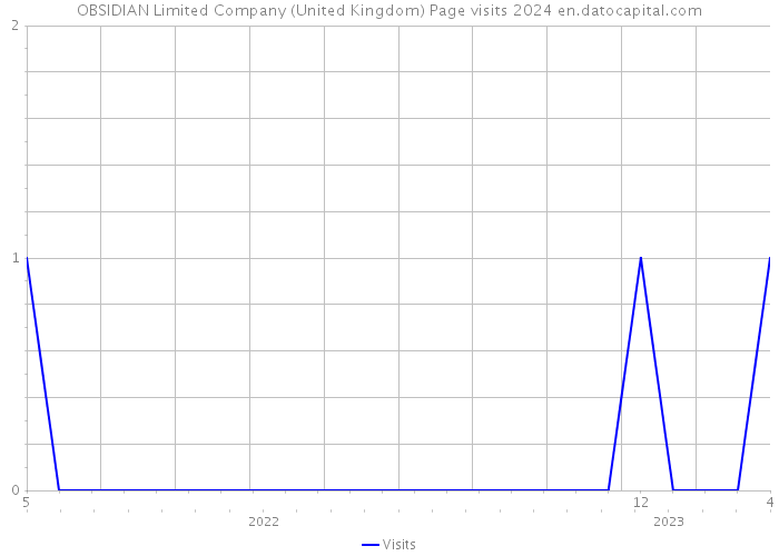 OBSIDIAN Limited Company (United Kingdom) Page visits 2024 