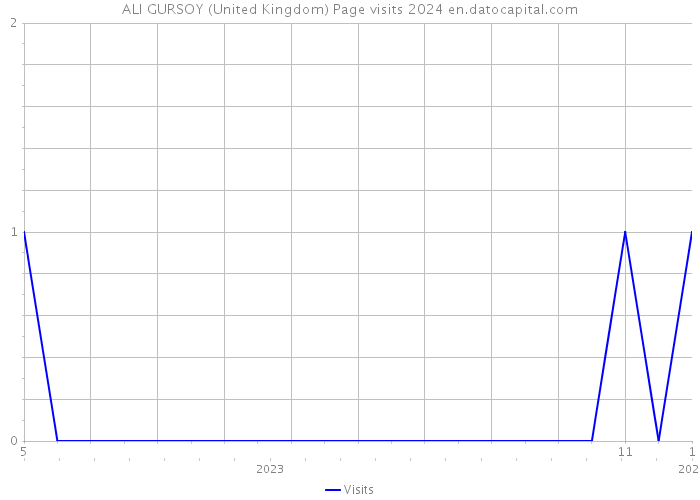 ALI GURSOY (United Kingdom) Page visits 2024 