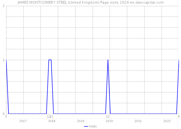 JAMES MONTGOMERY STEEL (United Kingdom) Page visits 2024 