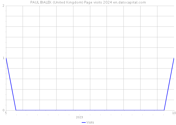 PAUL BIALEK (United Kingdom) Page visits 2024 