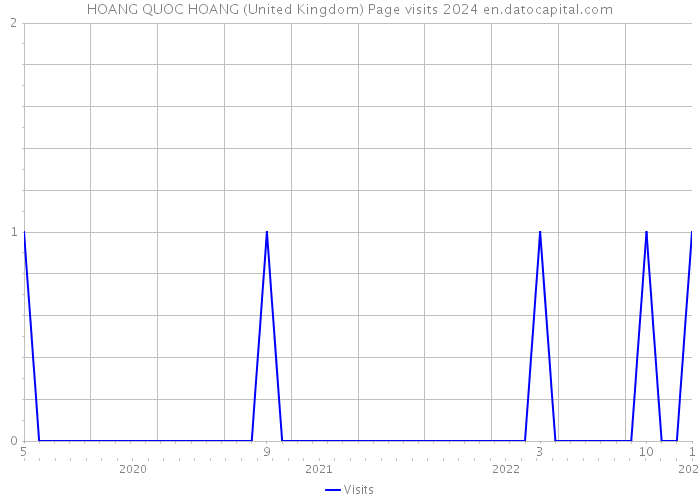 HOANG QUOC HOANG (United Kingdom) Page visits 2024 