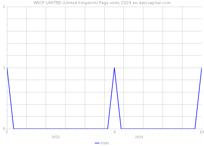 WSCP LIMITED (United Kingdom) Page visits 2024 