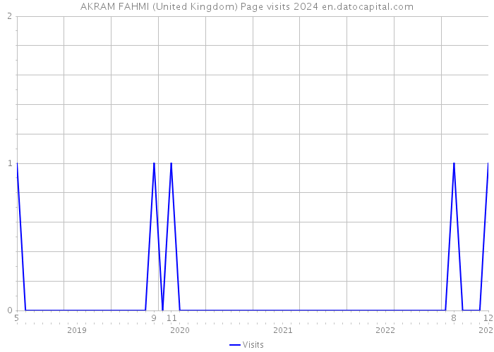 AKRAM FAHMI (United Kingdom) Page visits 2024 