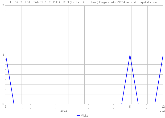 THE SCOTTISH CANCER FOUNDATION (United Kingdom) Page visits 2024 