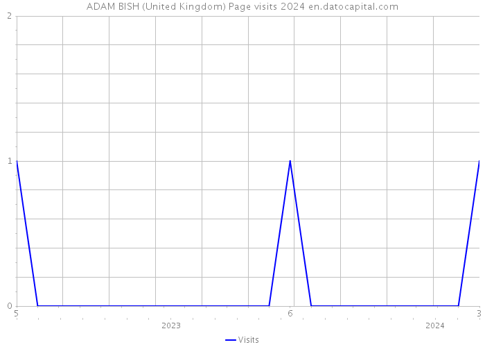 ADAM BISH (United Kingdom) Page visits 2024 