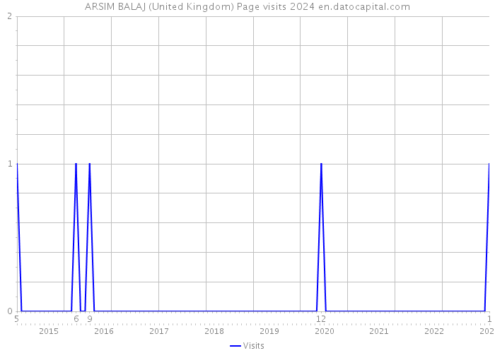 ARSIM BALAJ (United Kingdom) Page visits 2024 