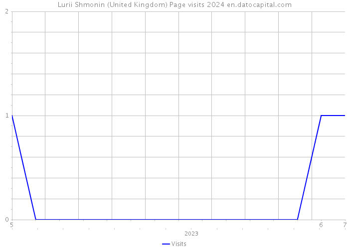 Lurii Shmonin (United Kingdom) Page visits 2024 