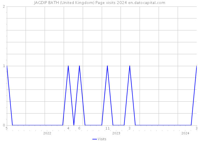 JAGDIP BATH (United Kingdom) Page visits 2024 