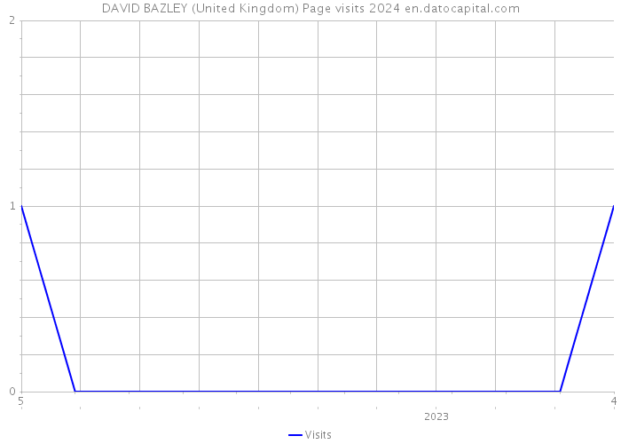 DAVID BAZLEY (United Kingdom) Page visits 2024 