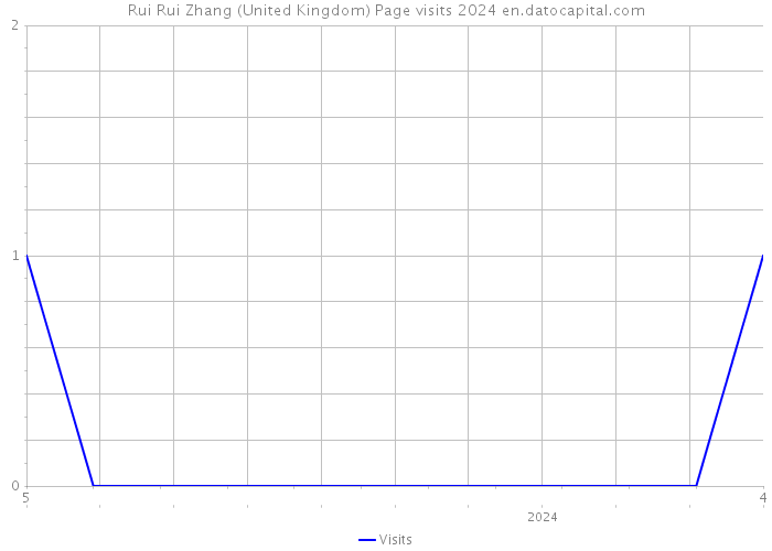 Rui Rui Zhang (United Kingdom) Page visits 2024 