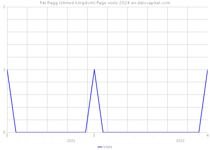 Pat Ragg (United Kingdom) Page visits 2024 