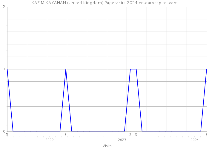 KAZIM KAYAHAN (United Kingdom) Page visits 2024 
