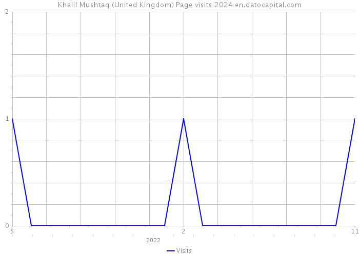 Khalil Mushtaq (United Kingdom) Page visits 2024 