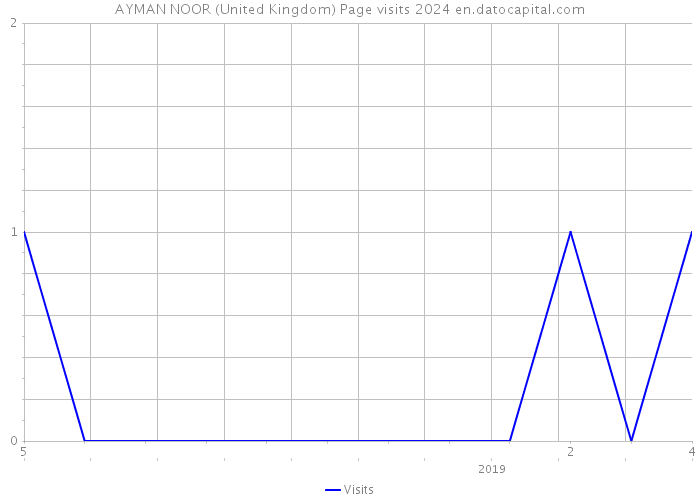 AYMAN NOOR (United Kingdom) Page visits 2024 