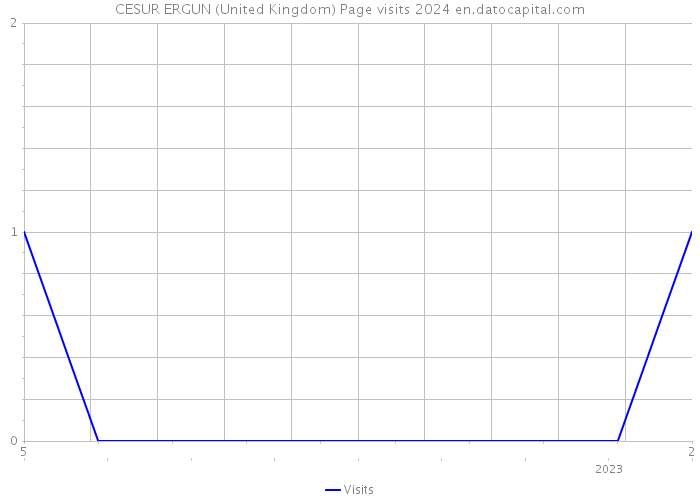 CESUR ERGUN (United Kingdom) Page visits 2024 