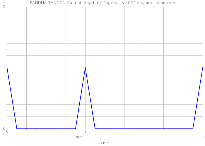 BANDNA TANDON (United Kingdom) Page visits 2024 