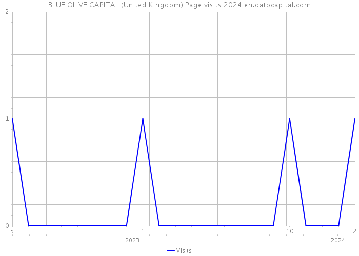 BLUE OLIVE CAPITAL (United Kingdom) Page visits 2024 