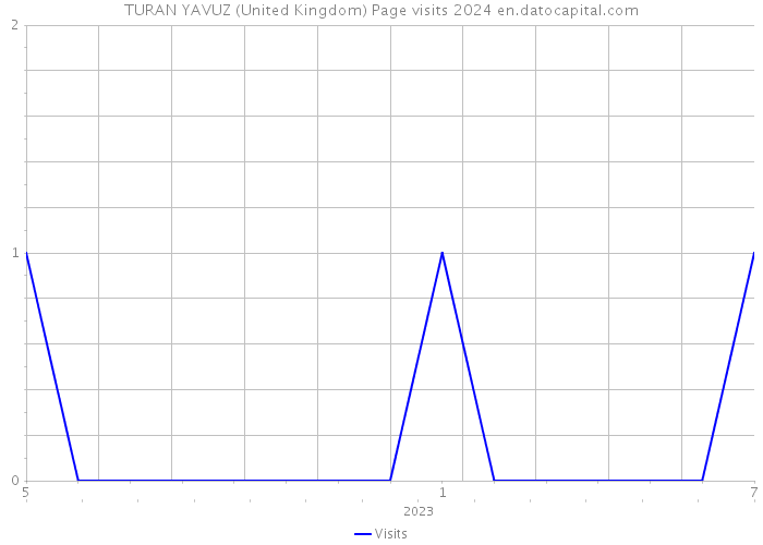 TURAN YAVUZ (United Kingdom) Page visits 2024 