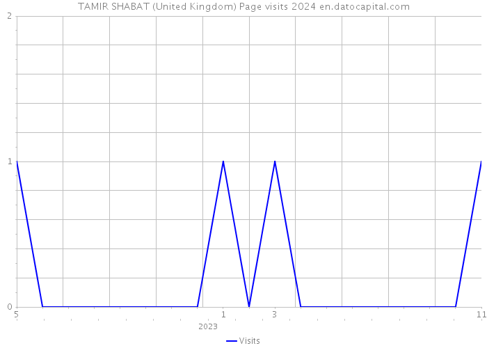 TAMIR SHABAT (United Kingdom) Page visits 2024 