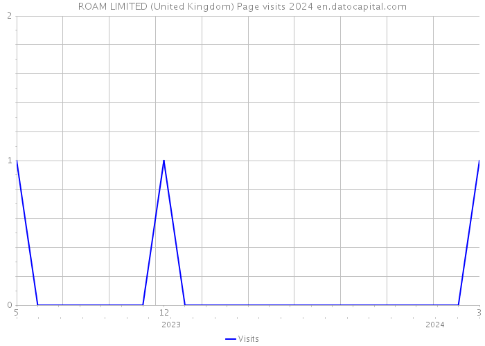 ROAM LIMITED (United Kingdom) Page visits 2024 