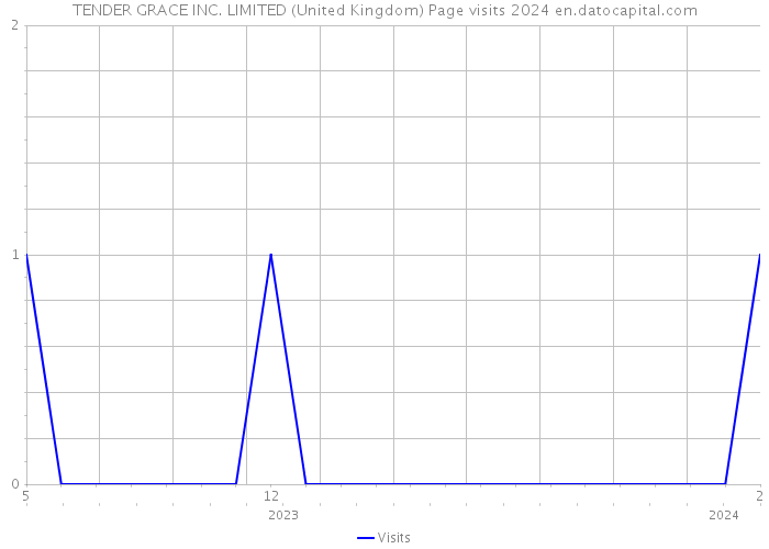 TENDER GRACE INC. LIMITED (United Kingdom) Page visits 2024 