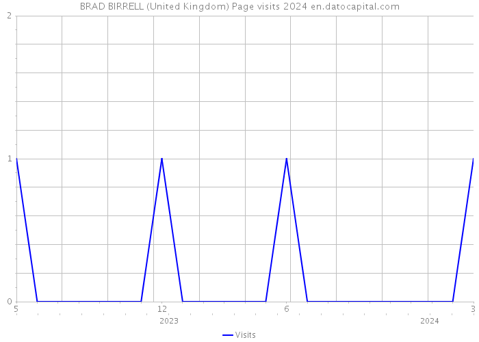 BRAD BIRRELL (United Kingdom) Page visits 2024 
