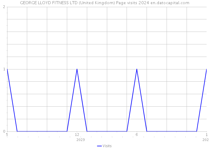 GEORGE LLOYD FITNESS LTD (United Kingdom) Page visits 2024 