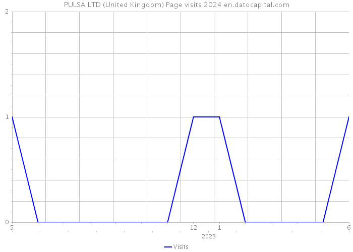 PULSA LTD (United Kingdom) Page visits 2024 