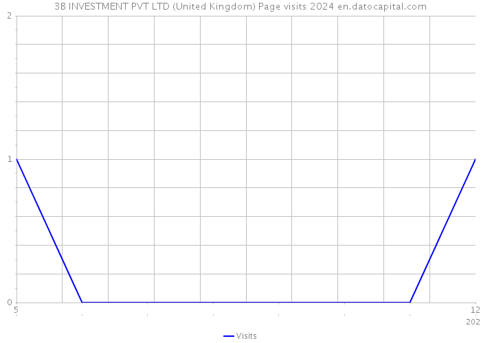 3B INVESTMENT PVT LTD (United Kingdom) Page visits 2024 