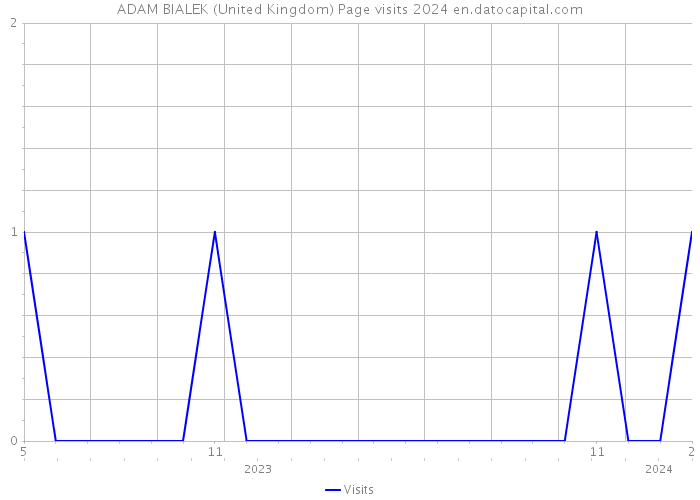 ADAM BIALEK (United Kingdom) Page visits 2024 