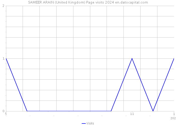 SAMEER ARAIN (United Kingdom) Page visits 2024 
