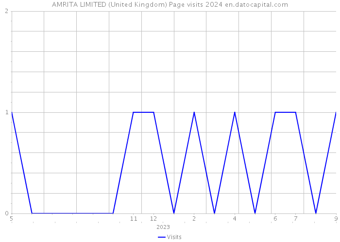 AMRITA LIMITED (United Kingdom) Page visits 2024 