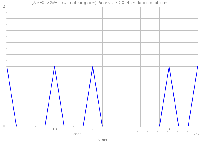 JAMES ROWELL (United Kingdom) Page visits 2024 