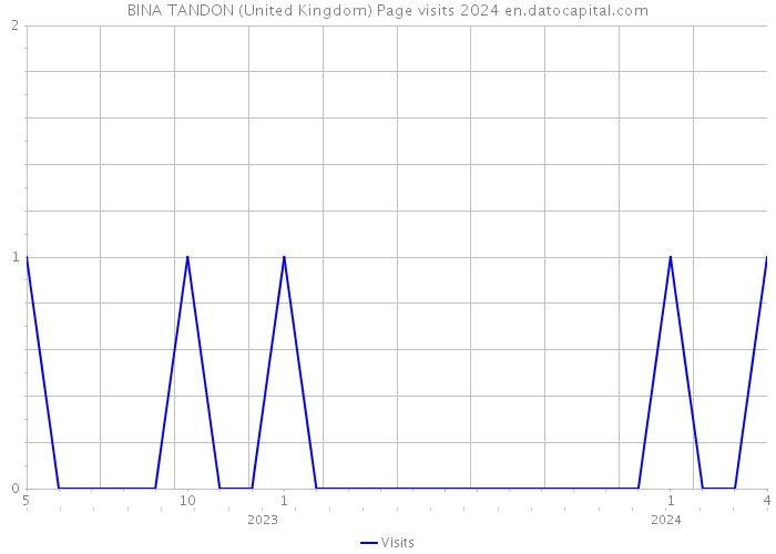BINA TANDON (United Kingdom) Page visits 2024 