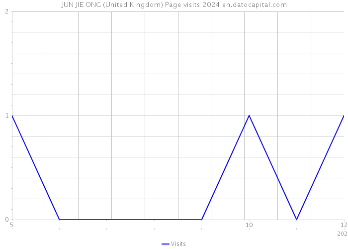 JUN JIE ONG (United Kingdom) Page visits 2024 