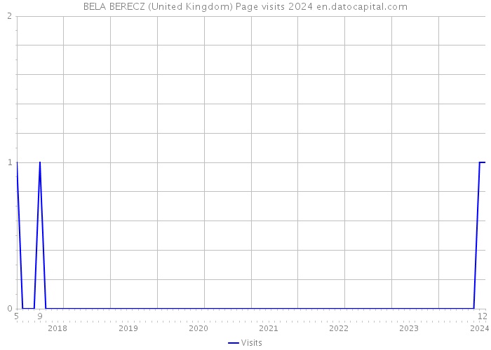 BELA BERECZ (United Kingdom) Page visits 2024 