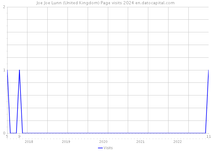 Joe Joe Lunn (United Kingdom) Page visits 2024 