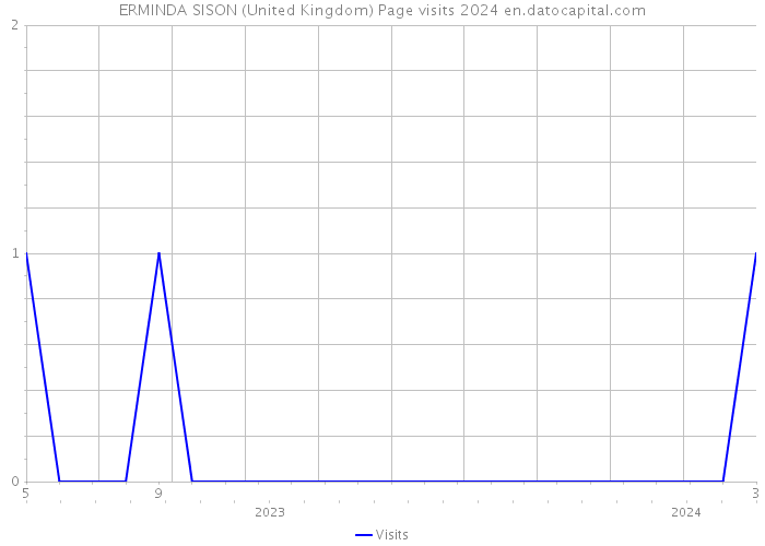ERMINDA SISON (United Kingdom) Page visits 2024 