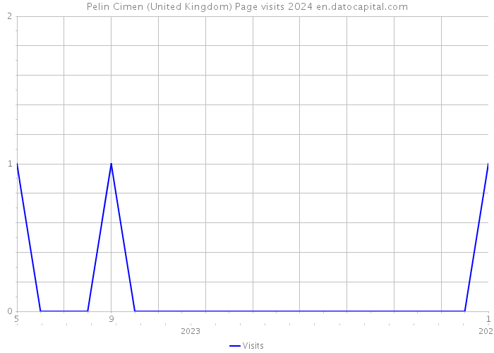 Pelin Cimen (United Kingdom) Page visits 2024 